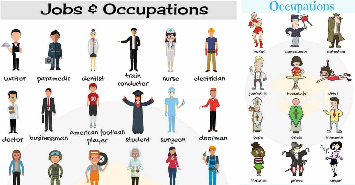 jobs-and-occupations.jpg